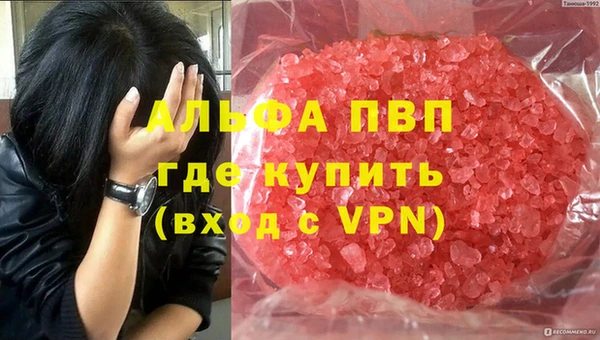 СК Магас