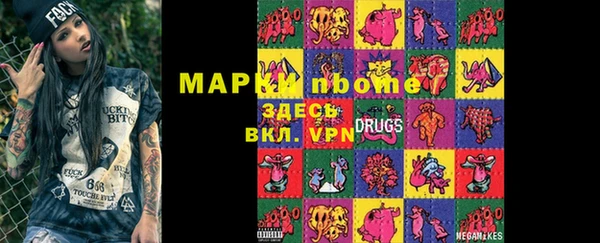 прущие грибы Великий Новгород