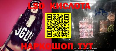 крисы Аргун