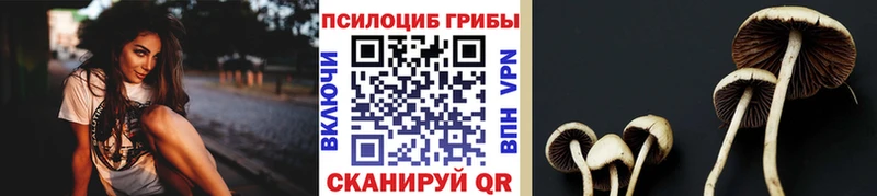 Псилоцибиновые грибы Psilocybine cubensis Малгобек