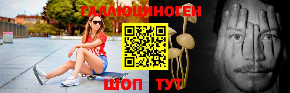 купить  сайты  Псилоцибиновые грибы MAGIC MUSHROOMS  Вход с VPN  Малгобек  Галлюциногенные грибы ЛСД 